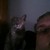 :icontalamarrmichael: