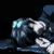 :icontalatetsu: