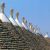 :icontalentidipuglia: