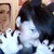 :icontaleofafriskybiscuit: