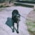 :icontaleoflostink: