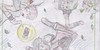 :icontales-of-dream-cards: