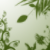 :icontalesofwhitedragon:
