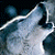 :icontalialune: