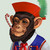 Talib-PB :icontalib-pb: