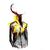 :icontalisenex: