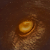 :icontalkingmonster: