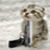 :icontalks2dead: