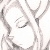 :icontalliwolf: