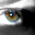 :icontallonreed: