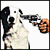 :icontallship: