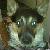:icontalon-and-hope: