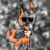 :icontalonthewolf: