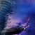 :icontalpha: