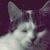 :icontalvi1990: