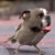 :icontalyn31: