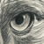 :icontama-chan220: