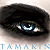 :icontamakin-stock: