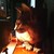 :icontamarack01: