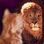 :icontamber-kat: