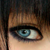 :icontamdogz:
