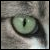 :iconTame-This-Kitty: