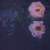 :icontame-wolfe: