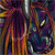 :icontami-tsuki-fanclub: