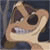 :icontammy-the-meerkat: