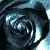 :icontammyriddle: