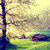 :icontana24: