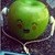 :icontanaki-chan: