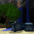 :icontanert007: