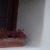 :icontangata: