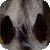 :icontangled-stock:
