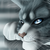 :icontangledtabby876: