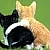 :icontanglefur: