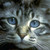 :icontanglepath204:
