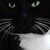 TanglingThreads :icontanglingthreads: