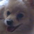 :icontangoxiii: