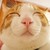 :icontanjob: