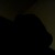 :icontank0421: