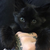 :icontankgirldare: