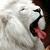:icontanner-001: