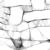 :icontannerbolin15: