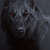 TannerTheManner :icontannerthemanner: