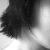 :icontannure: