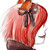 :icontantagreen:
