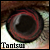 :icontantsui: