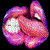 :icontanuzzo: